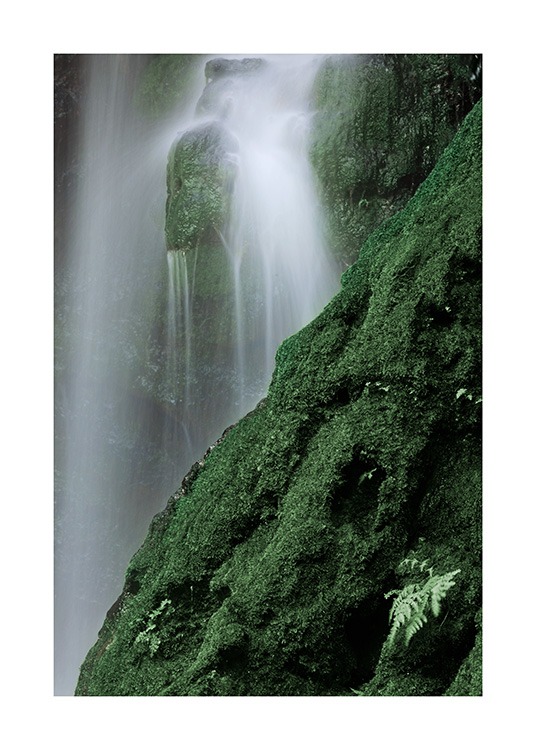 Waterfall in Forest Poster / Natura presso Desenio AB (12080)
