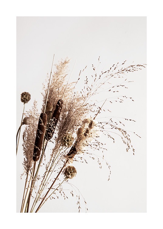 Dry Reeds No1 Poster / Fotografia presso Desenio AB (12419)