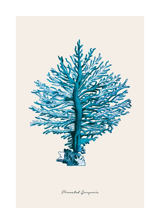 Blue Pinnated Gorgonia Poster / Natura presso Desenio AB (12430)