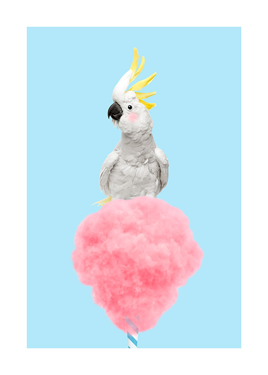 Cotton Candy Cockatoo Poster / Uccello presso Desenio AB (12478)