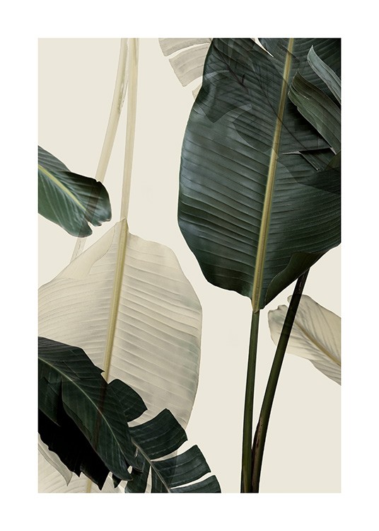 Banana Leaf Shades No1 Poster / Fotografia presso Desenio AB (12585)