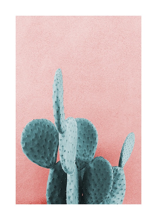 Mint Cactus Poster / Fotografia presso Desenio AB (12852)