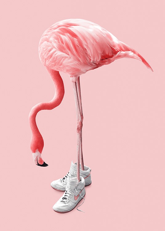 Sneaker Flamingo Poster / Fotografia presso Desenio AB (12942)