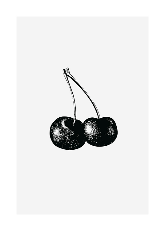  - Illustrazione in bianco e nero di due ciliegie su sfondo grigio