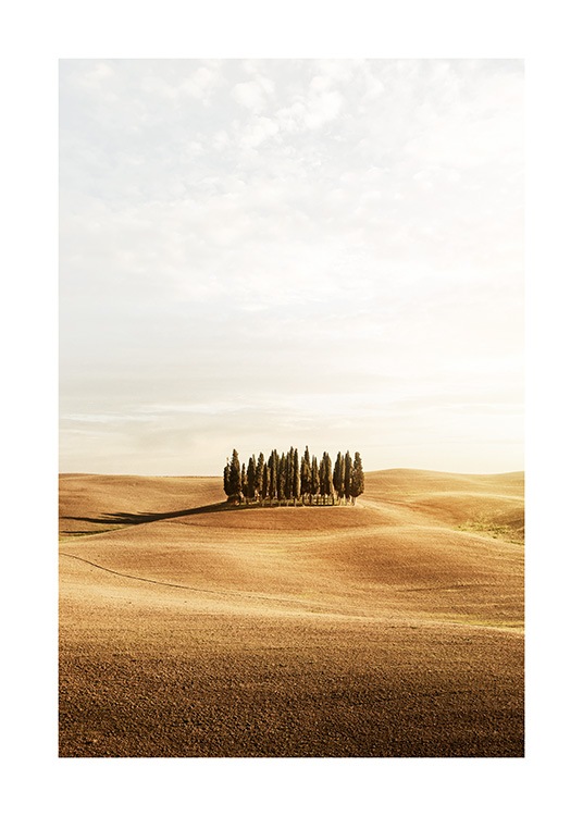 Tuscany Trees Poster