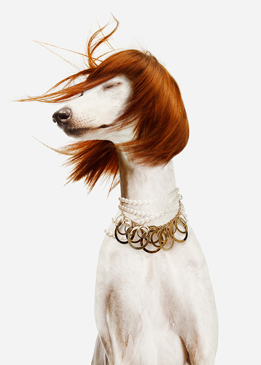  - Fotografia di un cane bianco con una parrucca rossa e una grande collana d’oro e di perle, su sfondo chiaro