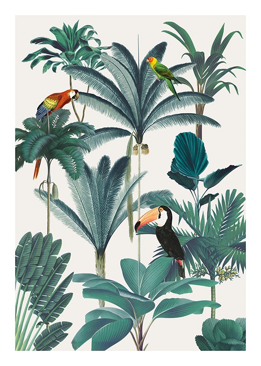 – Poster che ritrae uccelli nella giungla