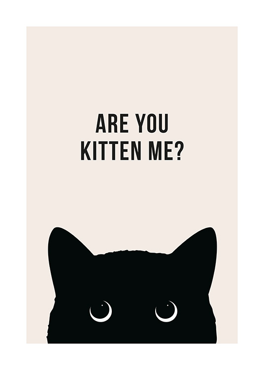Are You Kitten Me? Poster / Quadri divertenti presso Desenio AB (13790)