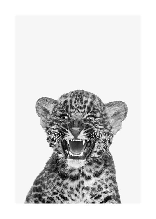 Baby Leopard Poster / Animali presso Desenio AB (13858)