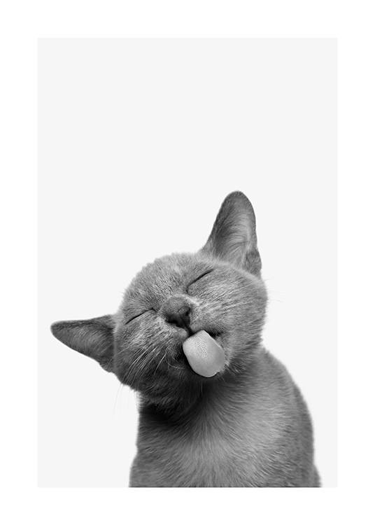 Cat Tongue Poster / Animali presso Desenio AB (13861)