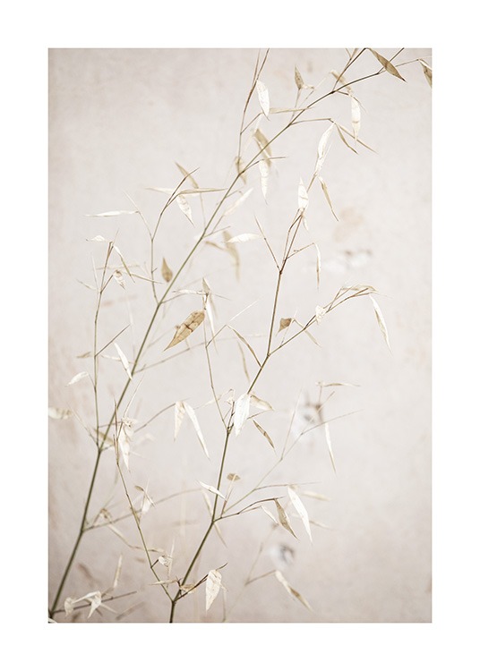  - Primo piano di piccole foglie su steli d'erba beige su sfondo beige chiaro