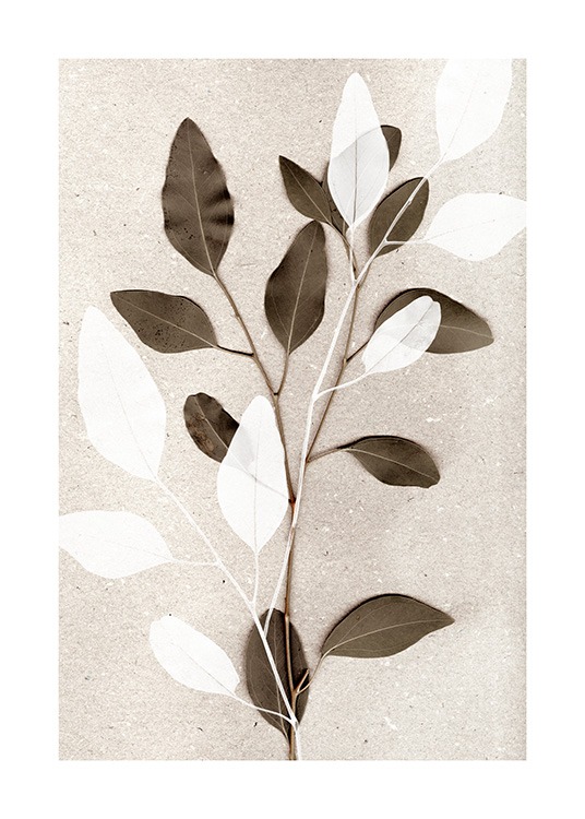  - Fotografia di ramoscelli di eucalipto in verde e bianco su sfondo beige con motivo effetto pietra