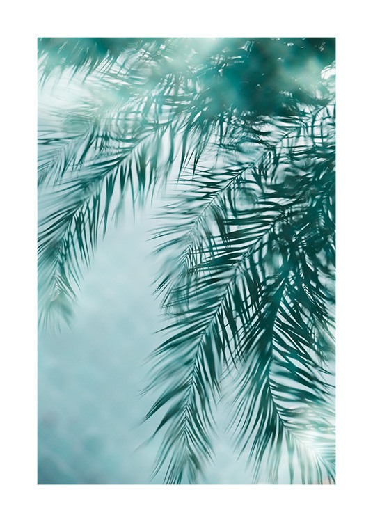  - Fotografia di foglie di palma riflesse in una piscina blu