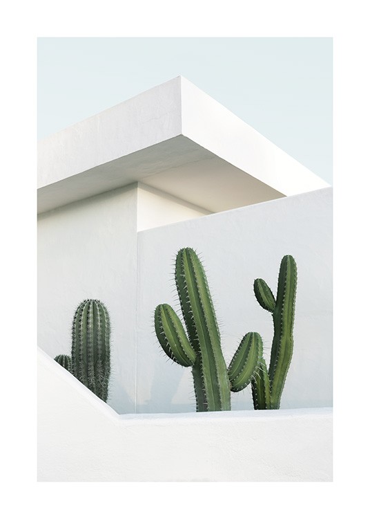 Cactus House Poster