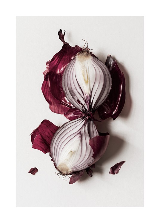 Red Onion Poster