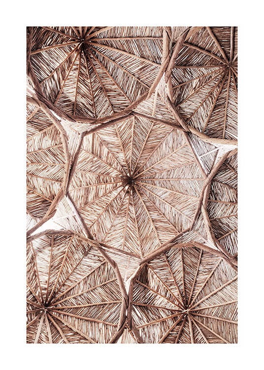  – Fotografia di elementi circolari realizzati in materiale organico in un soffitto