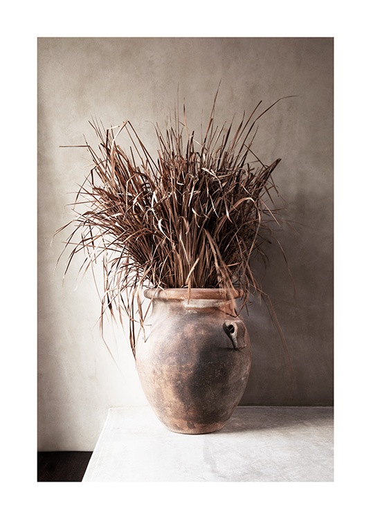  – Fotografia di erba secca beige in un vaso, contro una parete di cemento beige