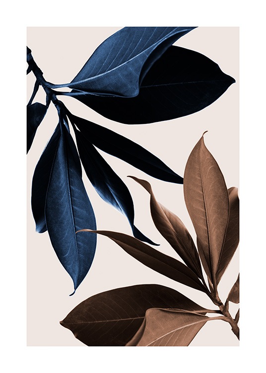  – Fotografia di foglie di magnolia marroni e blu su sfondo beige