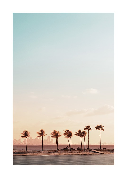  – Fotografia di una spiaggia con palme al tramonto a Miami