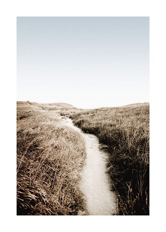  – Fotografia di erba che fiancheggia un sentiero di sabbia e un cielo azzurro sullo sfondo