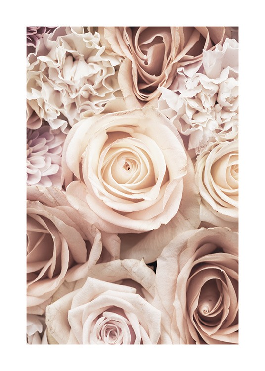  – Fotografia di rose e garofani rosa