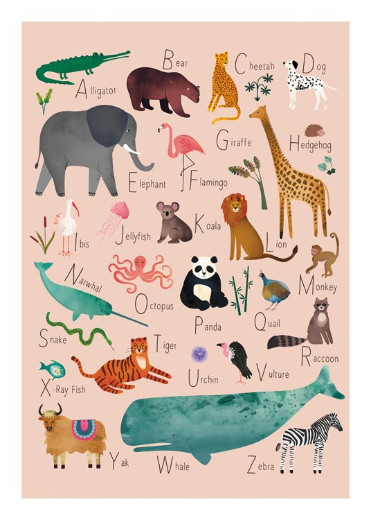  – Illustrazione di animali e i loro nomi disposti per ordine alfabetico
