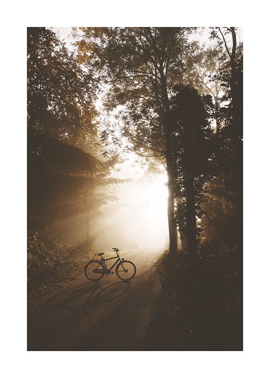  – Fotografia di una foresta con una bicicletta su un sentiero irradiato da raggi di sole