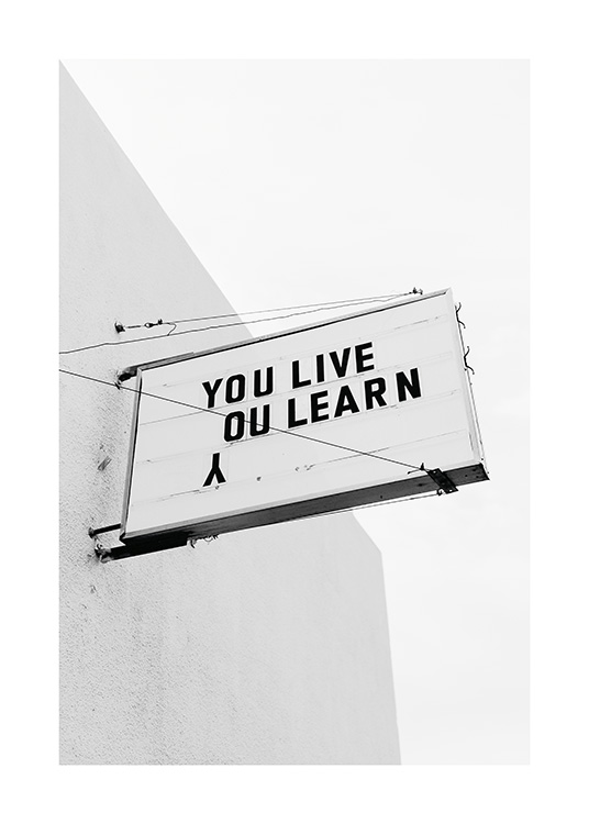 You Live You Learn Poster