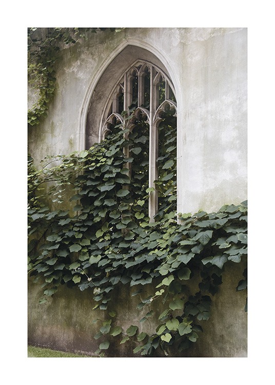  – Fotografia di foglie davanti a una finestra ad arco
