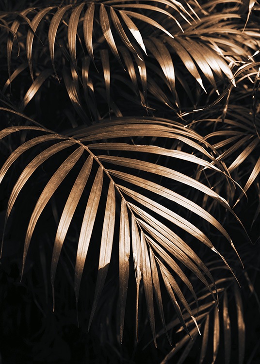  – Fotografia di foglie di palma color oro su sfondo nero