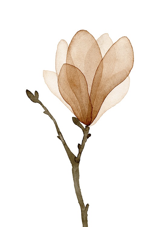 Watercolor Magnolia Poster