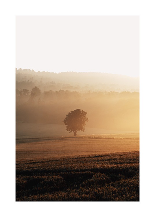  – Fotografia di campi con un albero in mezzo avvolti nella nebbia all’alba