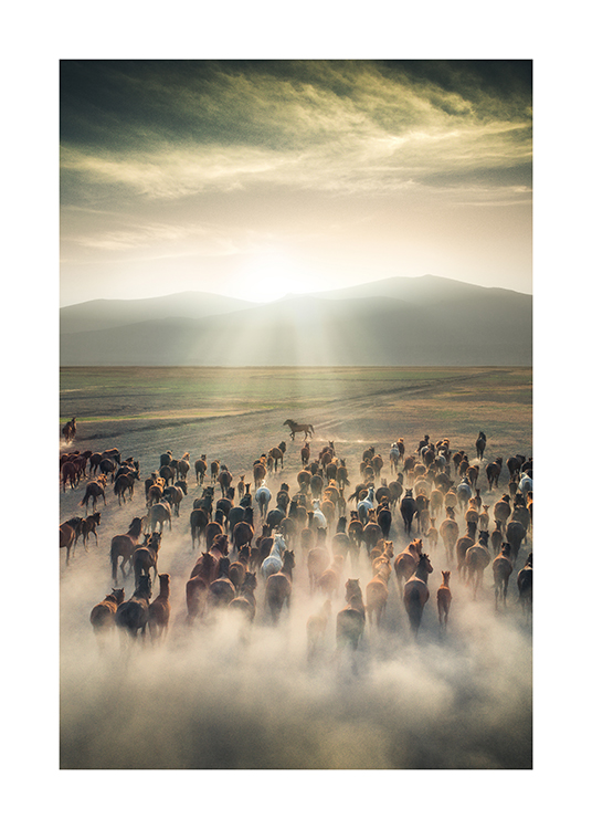 Herd Of Horses Poster