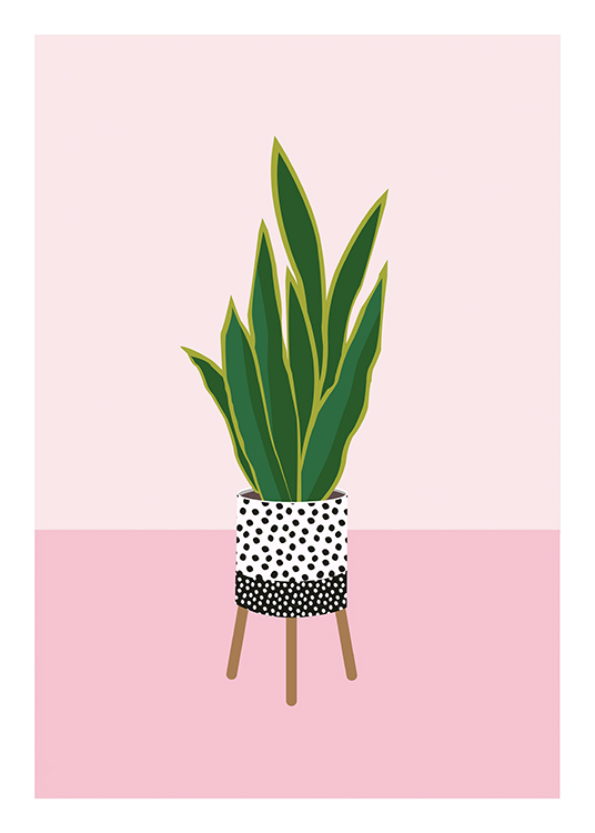 – Illustrazione su sfondo rosa di una pianta in un vaso a puntini con gambe