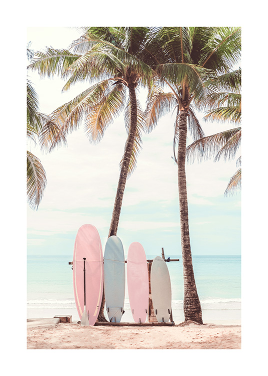  – Fotografia di tavole da surf colorate appoggiate a due palme