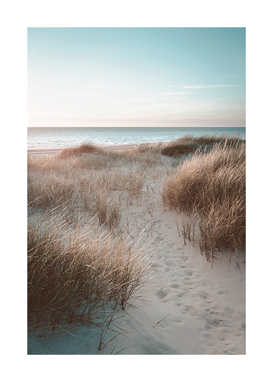  – Fotografia di dune di sabbia ricoperte di erba e l’oceano sullo sfondo
