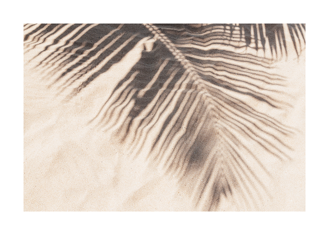  – Fotografia di una spiaggia di sabbia con l'ombra di una grande foglia di palma