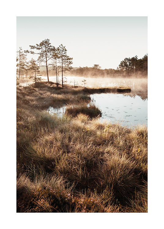  – Fotografia di cespugli d’erba attorno a piccolo stagno con alberi e nebbia sullo sfondo