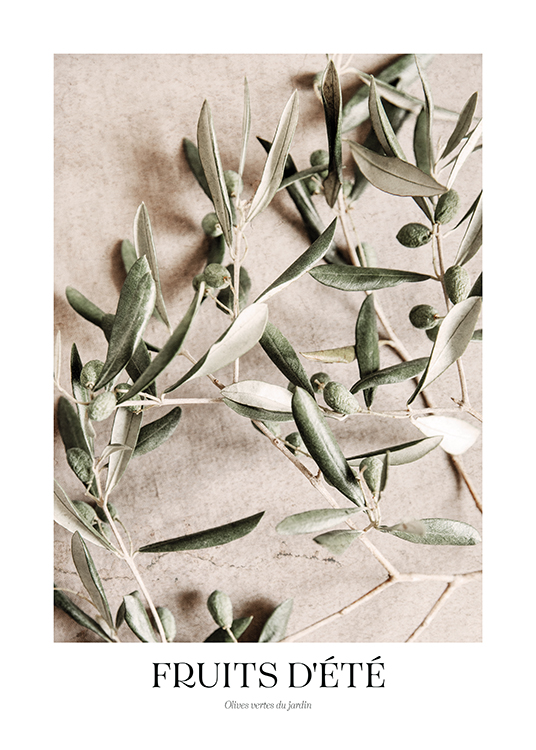 – Fotografia di olive verdi su rami d’ulivo su sfondo effetto pietra beige