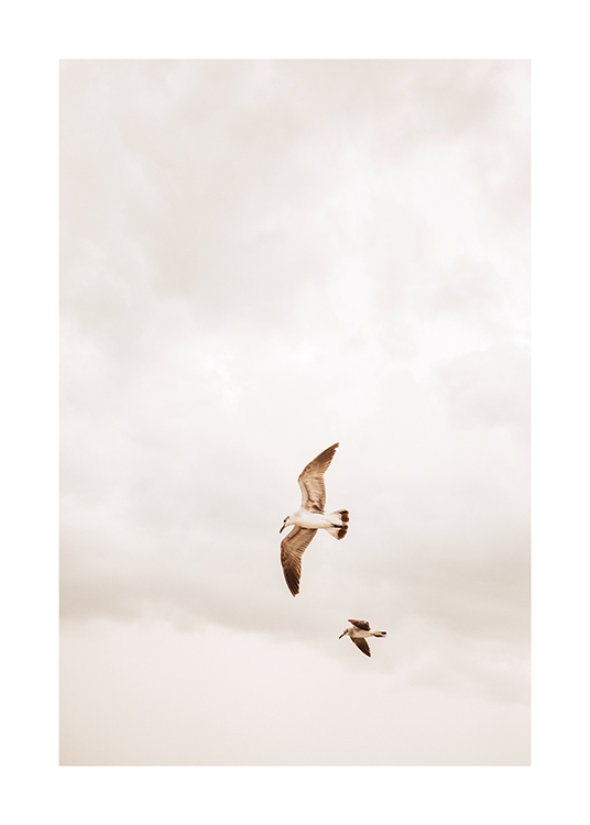  – Immagine di due uccelli che volano in un cielo nuvoloso