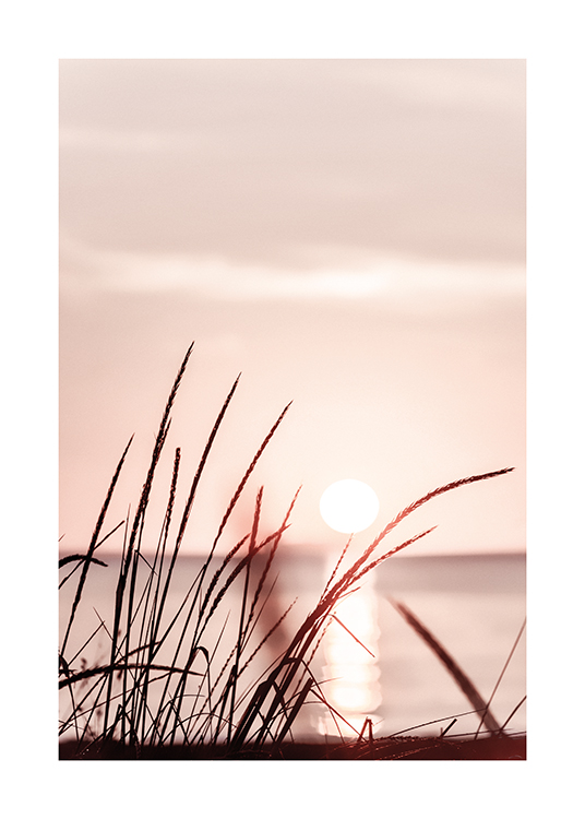  – Fotografia di steli d’erba che si stagliano contro un cielo rosa pastello al tramonto
