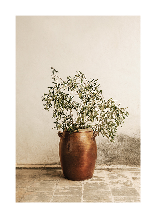  – Ramo di olivo in un semplice vaso