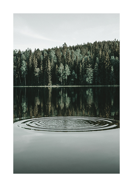  – Fotografia di un lago con anelli sull’acqua e una foresta in secondo piano