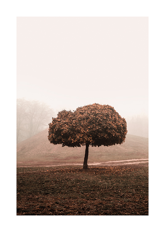  – Fotografia di un prato avvolto nella nebbia con un albero con una grande chioma al centro