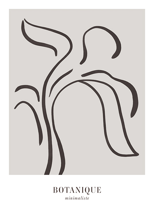  – Illustrazione in stile line art di un fiore astratto grigio scuro su sfondo grigio