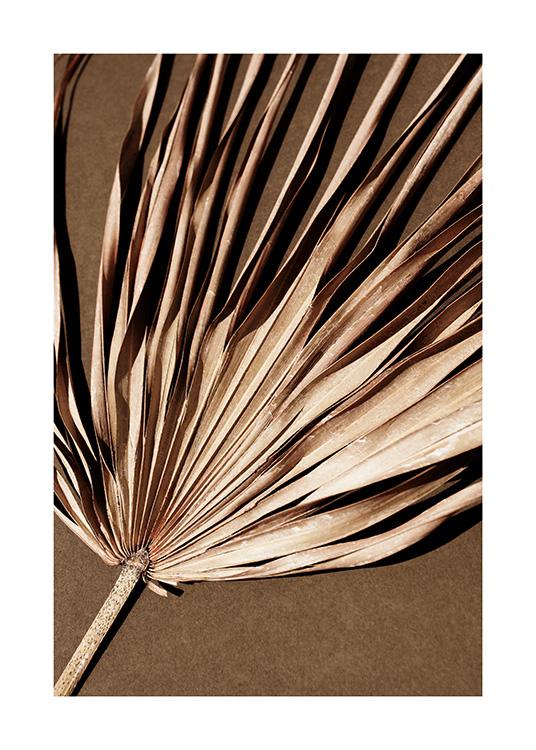  – Fotografia di una foglia di palma secca beige con effetto pieghettato su sfondo marrone