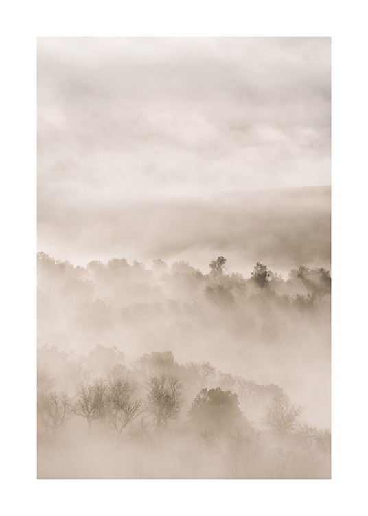 — Fotografia di un paesaggio con alberi nella nebbia in tonalità di beige