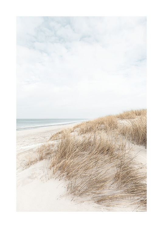 – Fotografia di dune di sabbia vicino all''acqua 