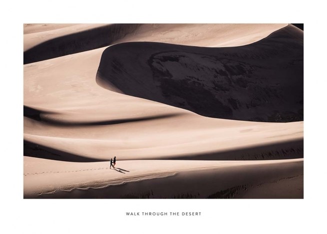 Walk Through The Desert Poster