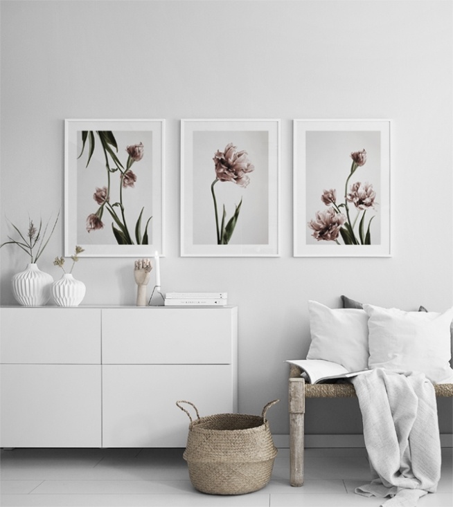  – Fotografia di un mazzo di tulipani rosa in piena fioritura su sfondo grigio